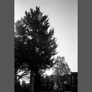 Ede-Zuid